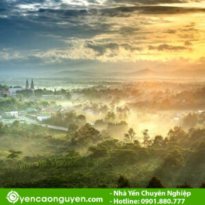 Bảo Lộc, Lâm Đồng là nơi ở lý tưởng cho chim yến sinh sống